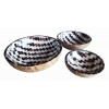017 0335 A Set 3